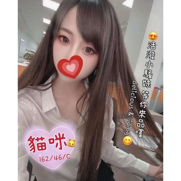 長春二館貓咪