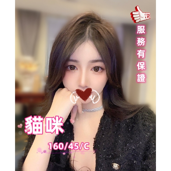 長春貓咪