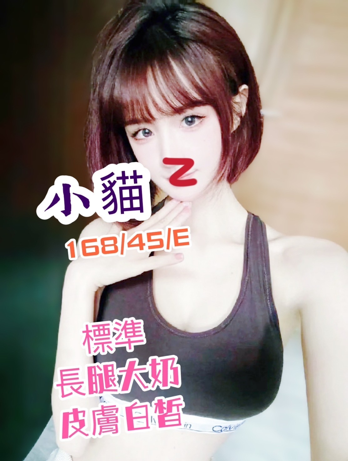 錦州小貓