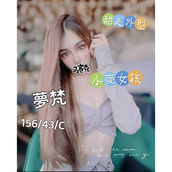 雙城夢梵